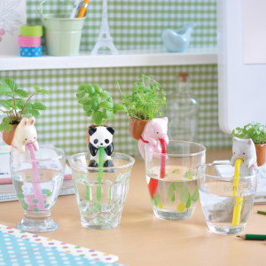 plante-chuppon-animal-buvant-a-la-paille
