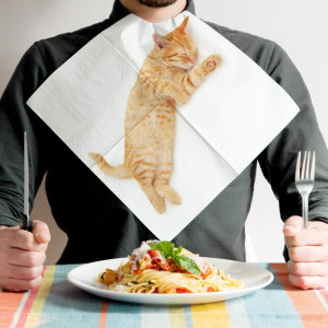 serviettes-chats